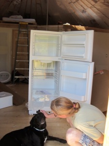 new fridge!